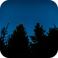 Fireflies Live Wallpaper icon