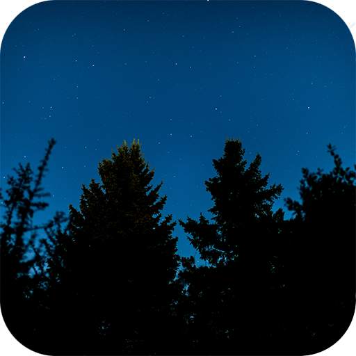 Fireflies Live Wallpaper 1.0
