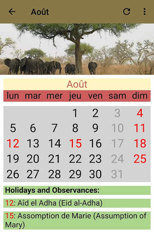 Cameroon Calendar 2020 4 تصوير الشاشة