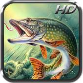 Fishing Pro 1.0