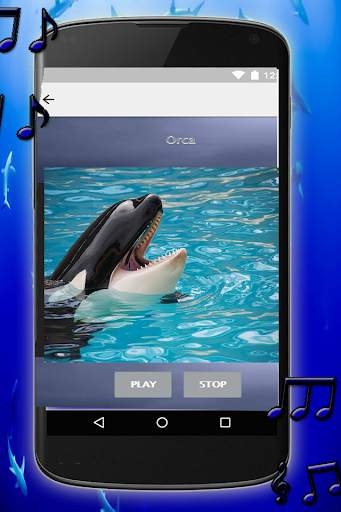 Whale song to sleep screenshot 6