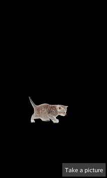 Kitten Games for Girls - Free screenshot 6