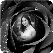 Black Rose Photo Frames icon