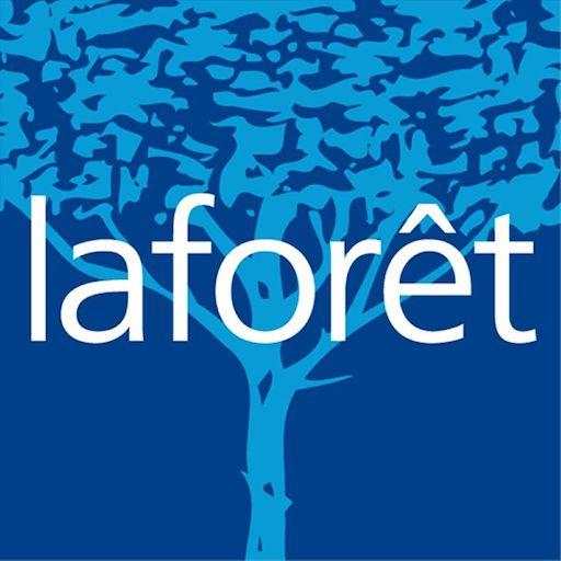 Laforêt Luxembourg 1.0 (2d1ea5f)
