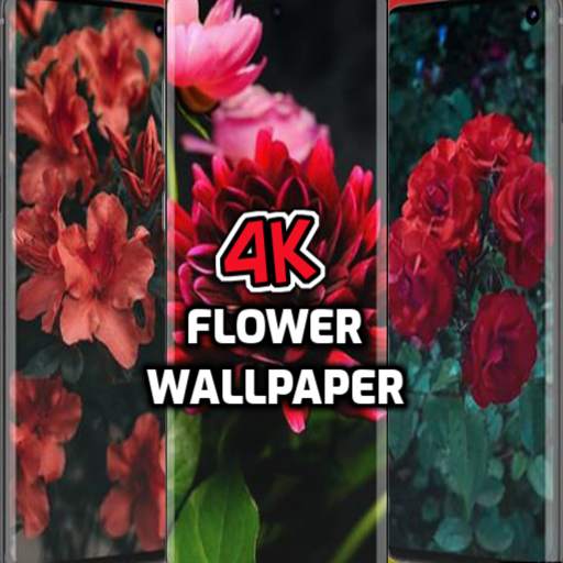 Flower Wallpaper Live - 4K Flower Wallpapers Free 1.0.1