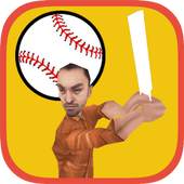 Real Street Cricket 3D 1.0