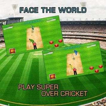 Super Over Cricket screenshot 7
