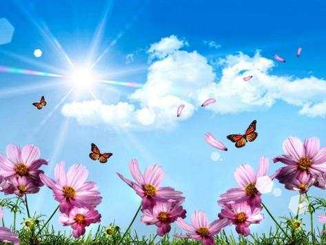 butterfly theme wallpaper screenshot 5
