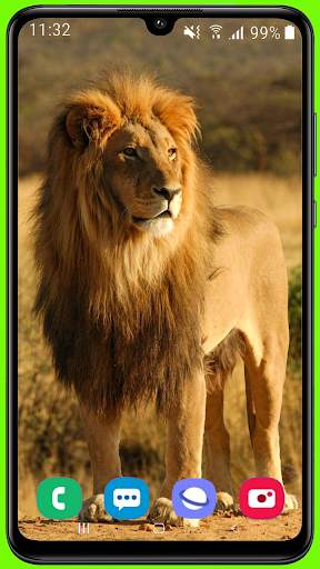 Lion Wallpaper Best HD screenshot 6