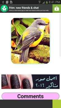 اجمل خلفيات عصافير 2 تصوير الشاشة