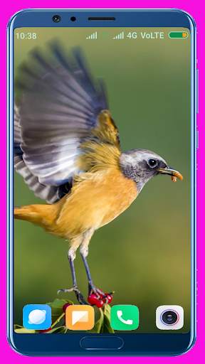 Bird Wallpaper Best 4K स्क्रीनशॉट 1