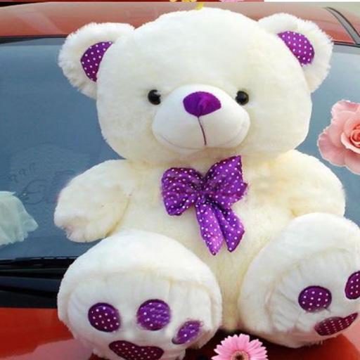 Cute Teddy Bear wallpaper icon
