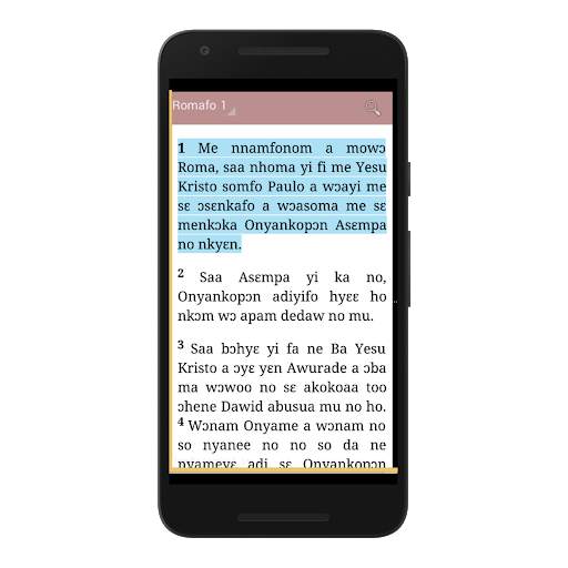TWI BIBLE (NKWA ASEM) скриншот 1
