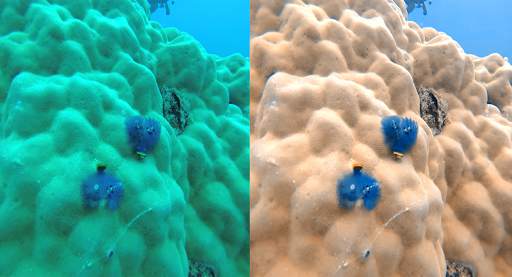 UwEdit - Underwater color restoration screenshot 2