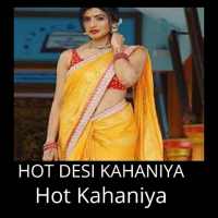 Hindi Desi Kahaniya - Desi Hindi Story 2020 icon