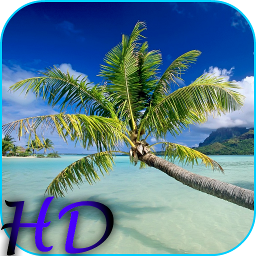 Beach HD Video Live Wallpaper icon