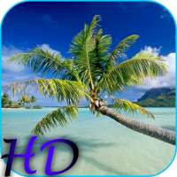 Beach HD Video Live Wallpaper on 9Apps