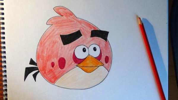 How to draw Birds Angry screenshot 3