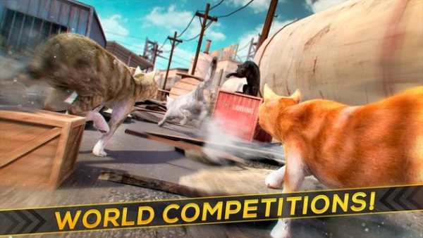 3D Cat Simulator Game For Free screenshot 10