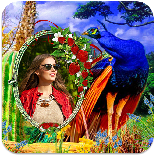 Peacock Photo Frames HD icon