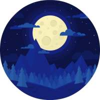 Relax Night Music