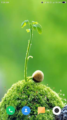 Macro Wallpaper HD screenshot 6