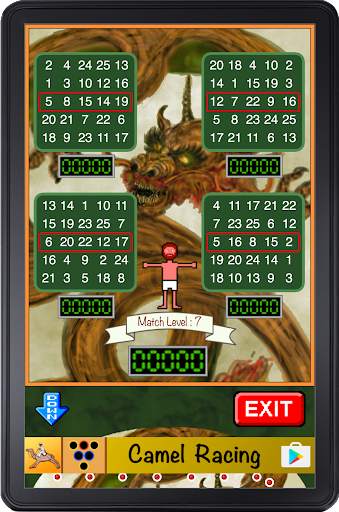 Bingo Pinball Dragon screenshot 5