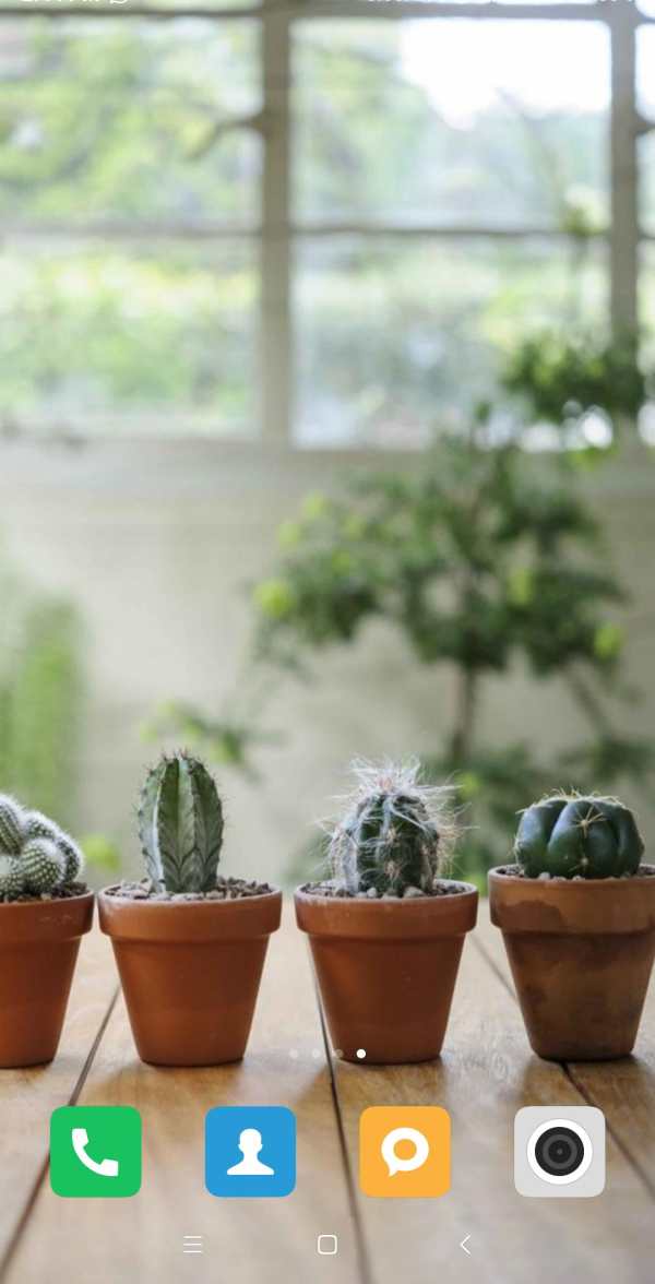 Cactus Wallpaper screenshot 6