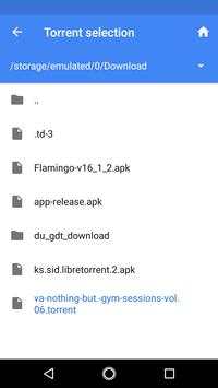 VikiTorrent screenshot 3