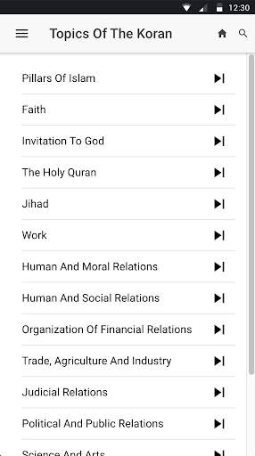 Quran Topics скриншот 1