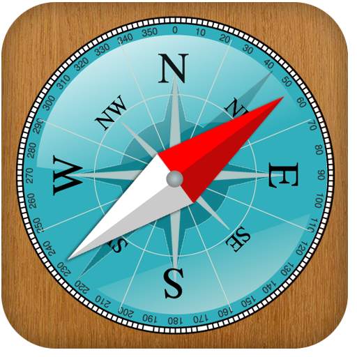 Compass Coordinate 3.1.155
