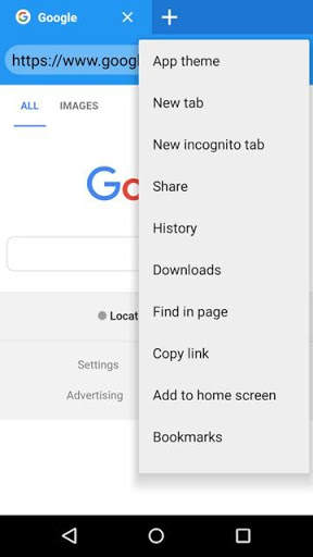 Next Browser screenshot 3