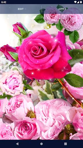 Pink Rose 4K Live Wallpaper screenshot 8