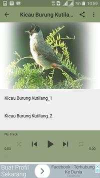 Kicau Burung Kutilang Gacor screenshot 4