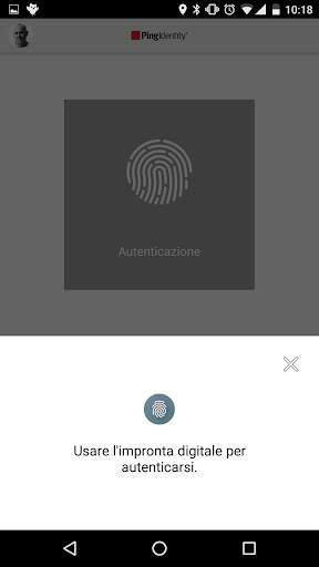 PingID screenshot 2
