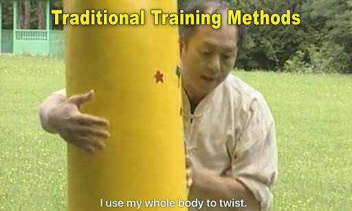 Tai Chi Pushing Hands screenshot 11