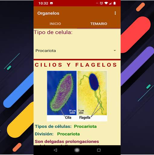 Organelos de la Celula screenshot 6