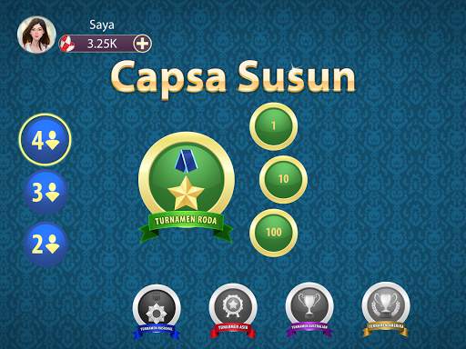 Capsa Susun screenshot 5