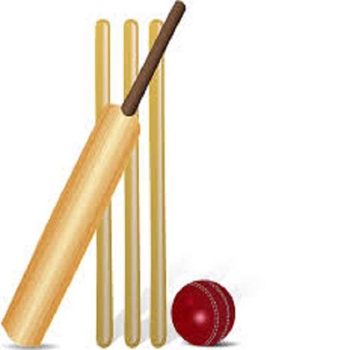 Cricket challenge Game 2020 icon