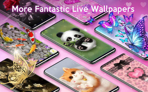 Cute Cat Wallpapers & Themes screenshot 8