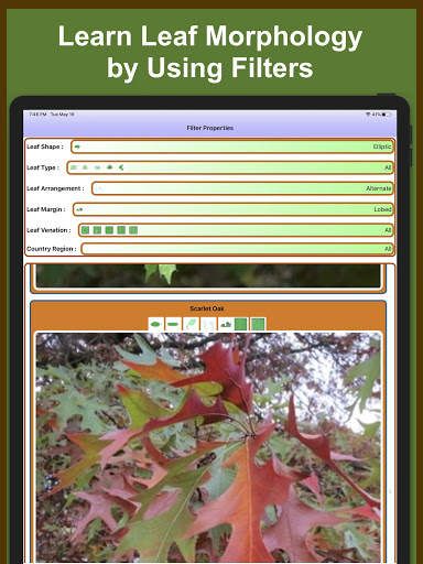 Forest Tree Identification скриншот 10