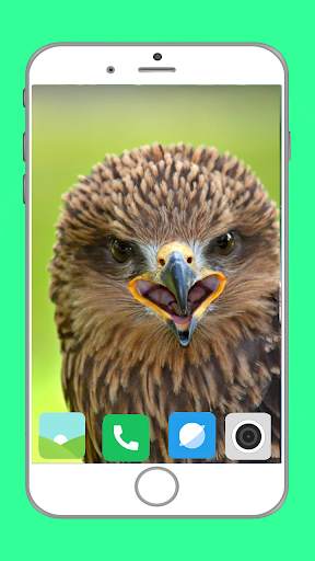 Predator Birds Full HD Wallpaper скриншот 10