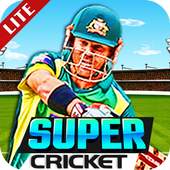 Super Cricket Championship 1.4
