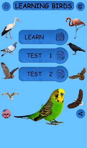 Birds - Learning Birds स्क्रीनशॉट 5