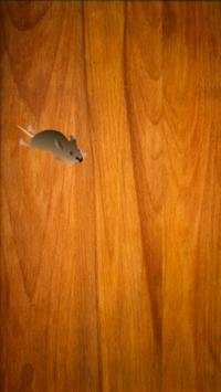 Game For Cats screenshot 3
