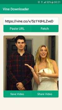 Downloader for Vine screenshot 1