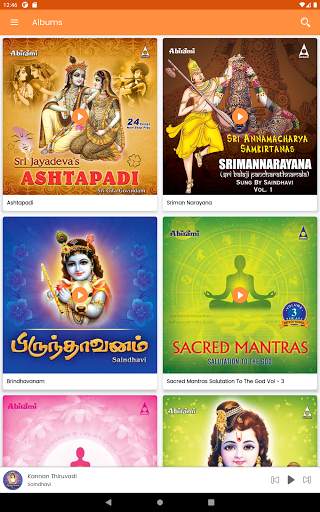 Krishna Devotional screenshot 15