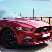Real Mustang Driving Sim 2017 icon