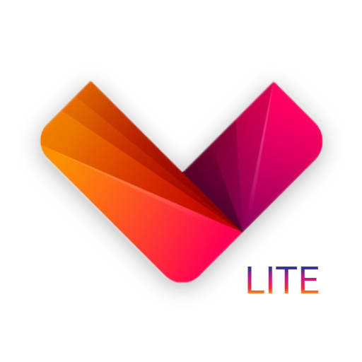 Lite Video Downloader 2.0
