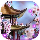 Japan Sakura live wallpaper 1.2